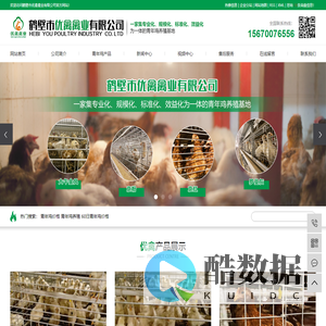 青年鸡价格_青年鸡养殖_60日青年鸡价格-鹤壁市优禽禽业有限公司