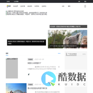 切尔网