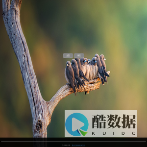 听风八百遍,才知是人间