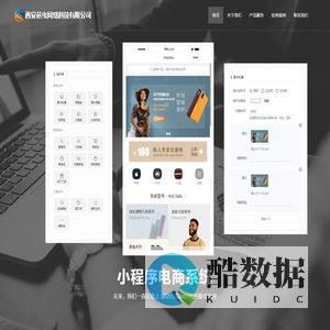 西安芯虫网络科技有限公司