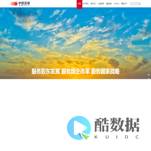 中投咨询有限公司