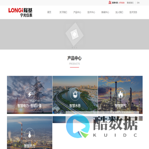 宁夏隆基宁光仪表股份有限公司,宁夏隆基电气有限公司