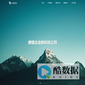 大树科技 - 产业数字金融引航者