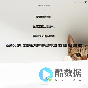 天天玩