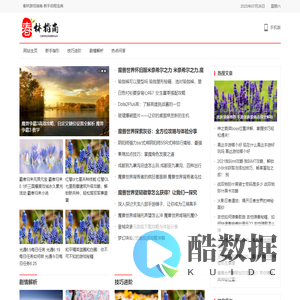 春林游戏指南