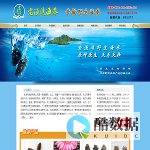 老渔湾海参_深海野生海参_专做野生海参