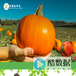四川行天下信息技术有限公司