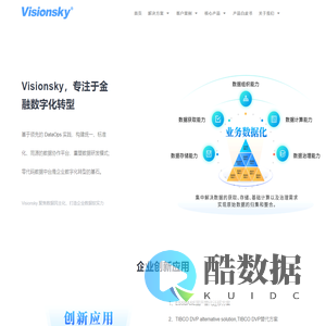 Visionsky-广东华际友天信息科技有限公司