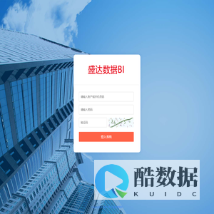 盛达数据BI