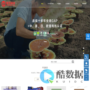 孢子粉灵芝