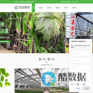 广州花木场-广州苗木批发-林木工程公司-广州市南沙区大岗美琳花木场