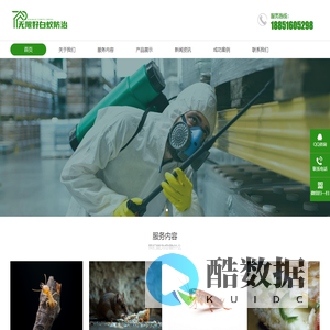 南京无限好白蚁防治服务有限公司