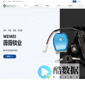 瑞安市薇薇锁业有限公司