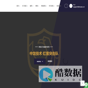 中龙技术