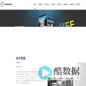圣泰信息科技有限公司