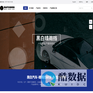 黑白汽车晴雨挡
