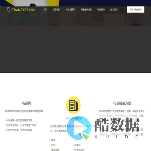 有译思