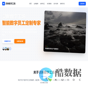 灵眸数字工场 - 智能数字员工定制专家