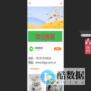 注塑模具定制