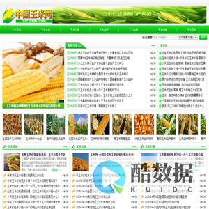 玉米网