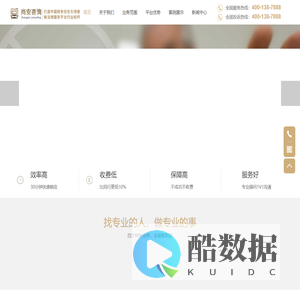 债务优化
