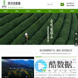 贵州凉都春惠农产业（集团）股份有限公司_贵州茶叶_铁皮石斛