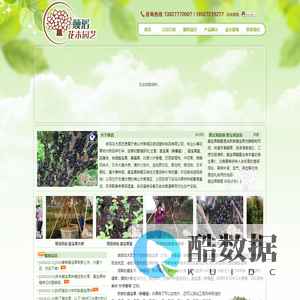 嘉宝果|树葡萄|嘉宝果苗|台湾嘉宝果价格|☆顺滔花木园艺☆