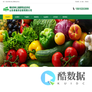 蔬饱饱-寿光岭上果蔬专业合作社-山东晨瑞供应链有限公司