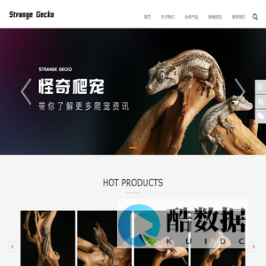 怪奇爬宠/Strange Gecko