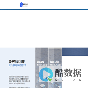 天津独秀科技有限公司