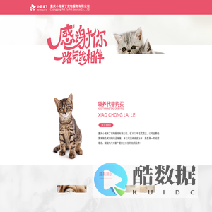 小宠来了
