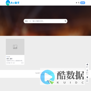 大V助手
