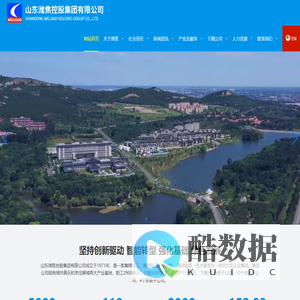 山东潍焦控股集团有限公司