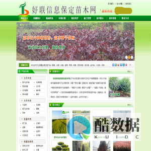 金叶榆_望都塔桧_沙地柏_栾树_法桐-588保定苗木网