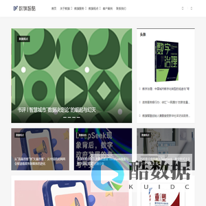 数旗智酷 - 数字政府创新与品牌研究