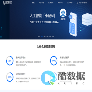 首页-配友软件