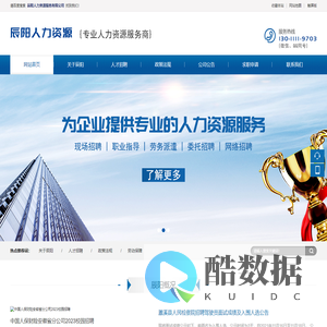 辰阳人力资源服务有限公司
