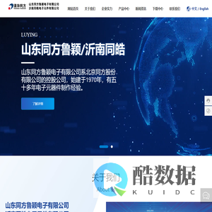 山东同方鲁颖电子有限公司