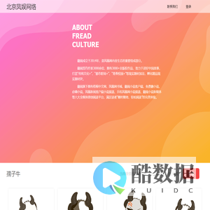 北京凤娱网络