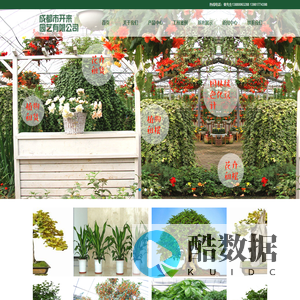 成都植物租摆