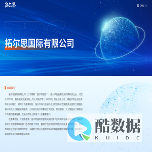 拓尔思国际有限公司