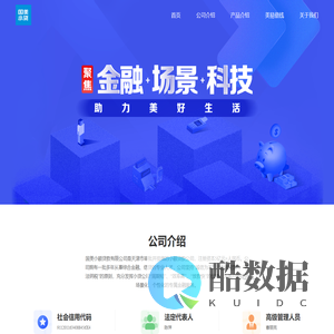 国美小贷