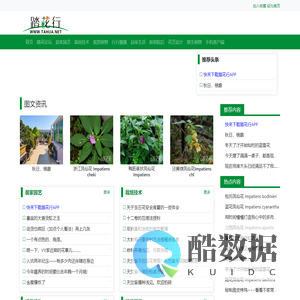 踏花行