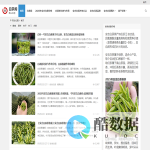 兰花香安吉白茶价格多少钱一斤【图片、品牌、批发】高山白茶礼盒装 | 白茶阁