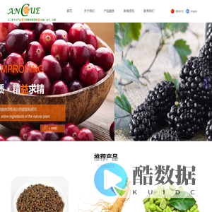 大连安科优益科技有限公司-Home