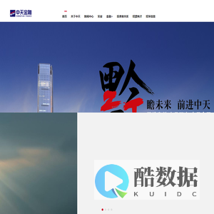 中天金融