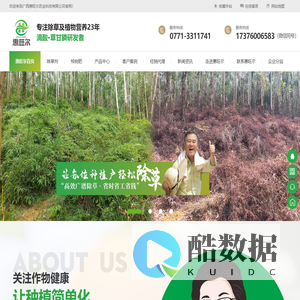 惠旺尔科技 草乙疏除草剂 桉树除草剂20公斤滴酸草甘膦厂家直销 掌控配方草甘烂光