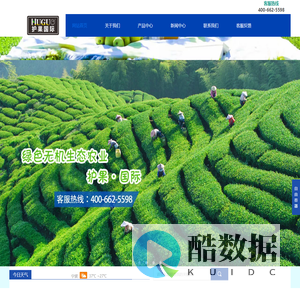 护果国际