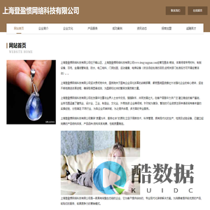 上海登盈惯网络科技有限公司