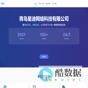青岛星迪网络科技有限公司 - 专业网络解决方案